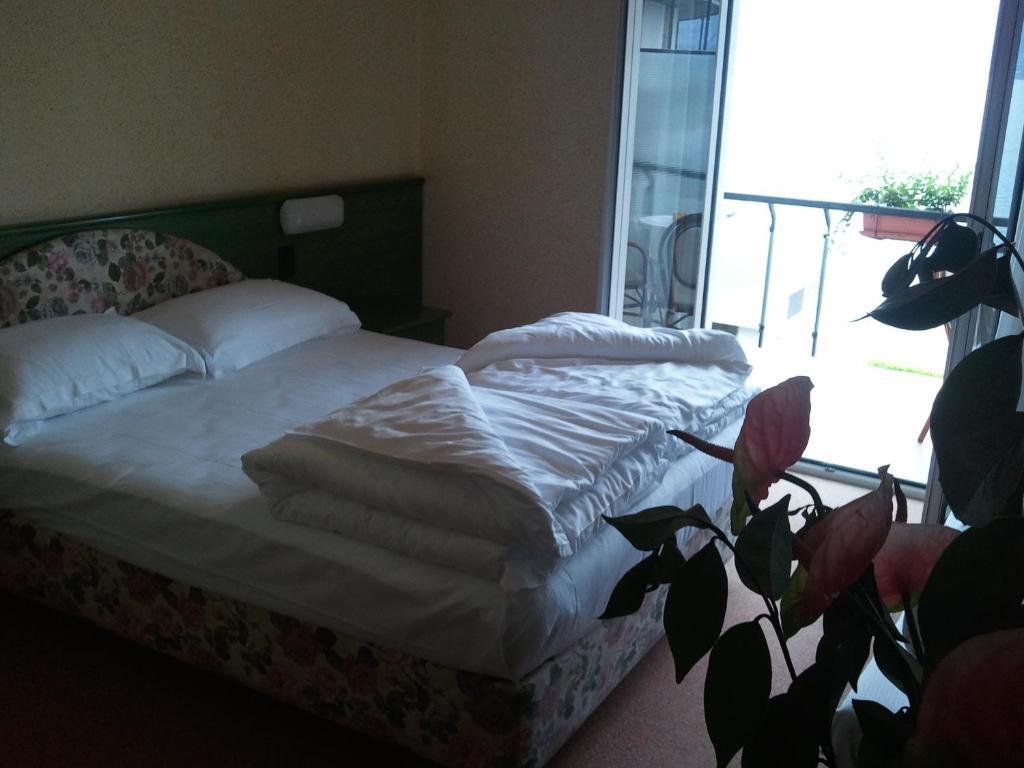 Hotel Caribe - Garda Lake Collection ブレンゾーネ 部屋 写真