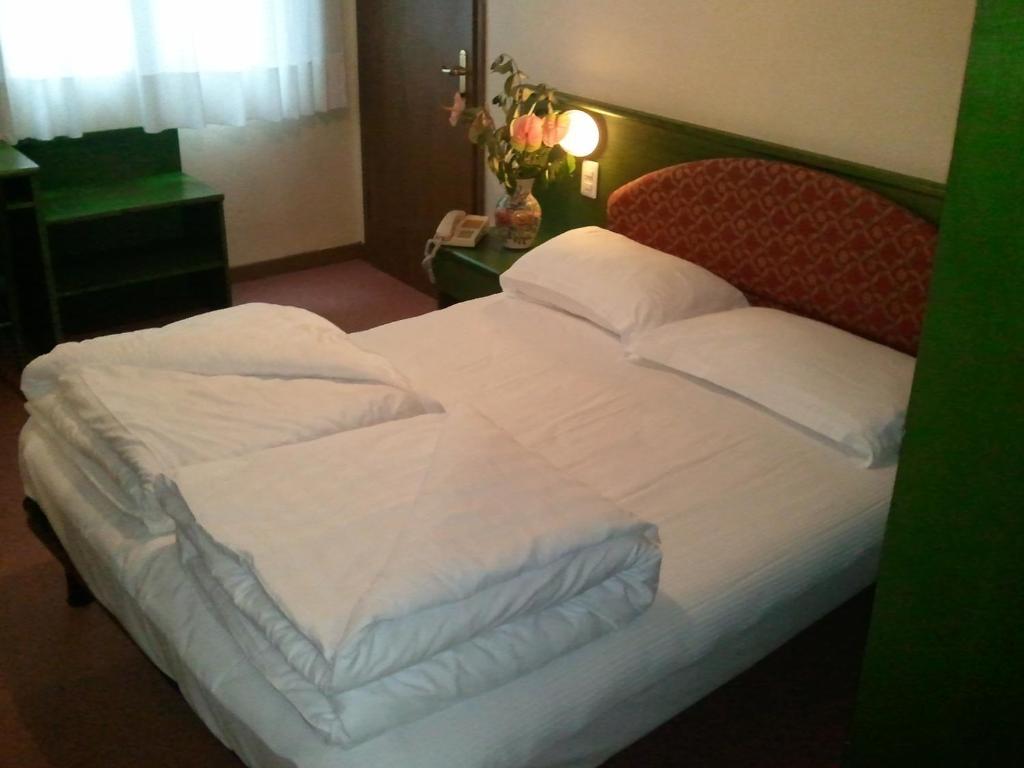Hotel Caribe - Garda Lake Collection ブレンゾーネ 部屋 写真