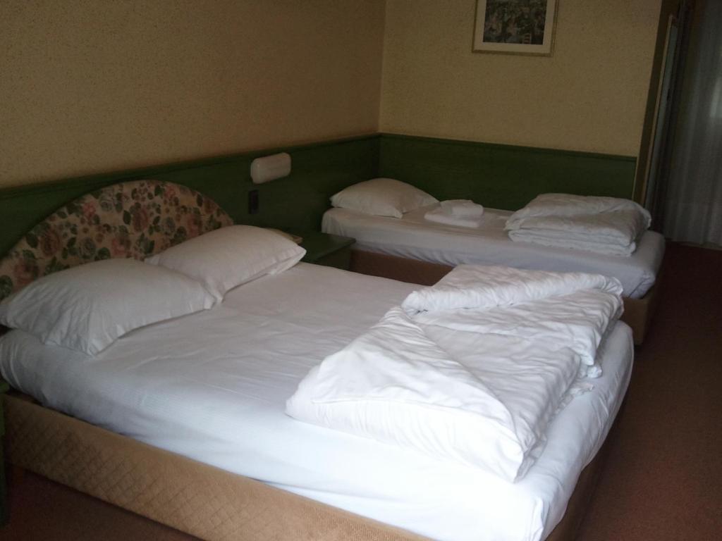 Hotel Caribe - Garda Lake Collection ブレンゾーネ 部屋 写真