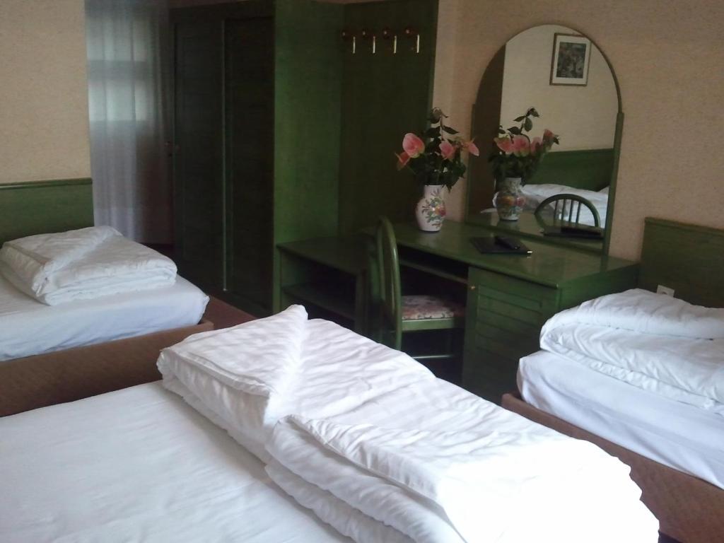 Hotel Caribe - Garda Lake Collection ブレンゾーネ 部屋 写真